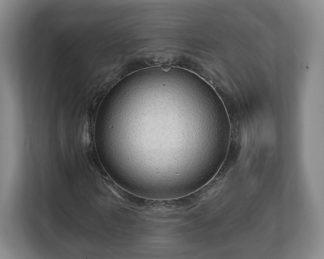 X0000113090962200909041146