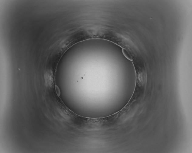 X0000113090963200909041146