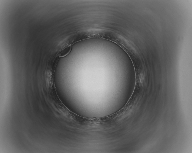X0000113090964200909041146