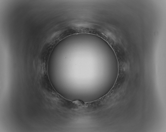 X0000113090965200909041146