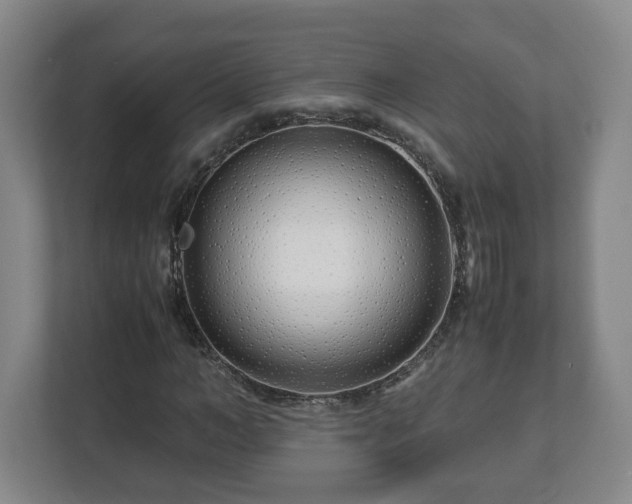 X0000113090966200909041146