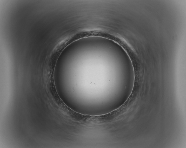 X0000113090967200909041146