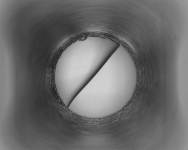 X0000113090968200909041146
