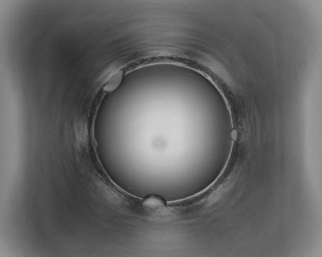 X0000113090969200909041146