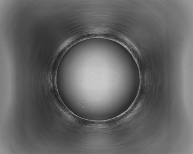 X0000113090970200909041146