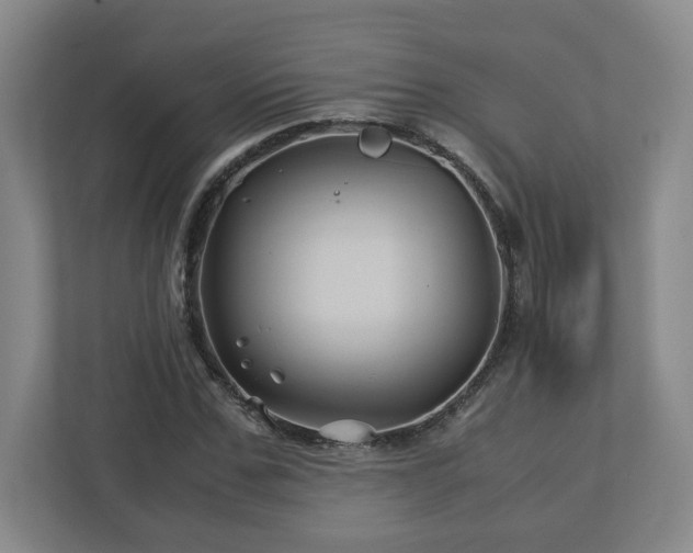 X0000113090971200909041146