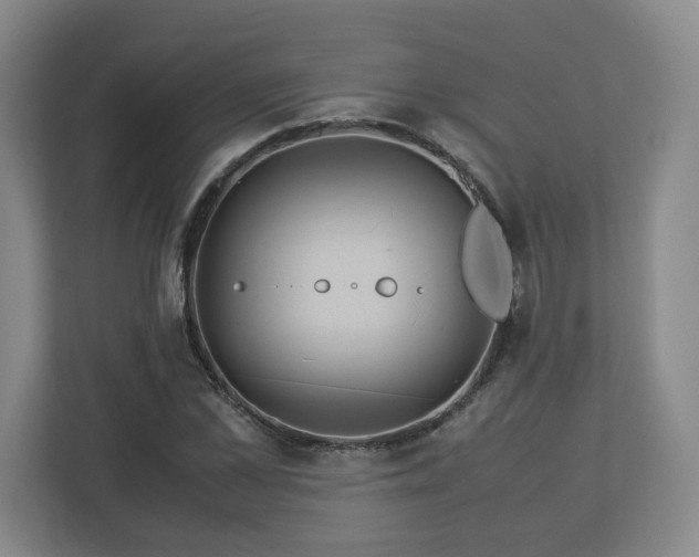 X0000113090973200909041146