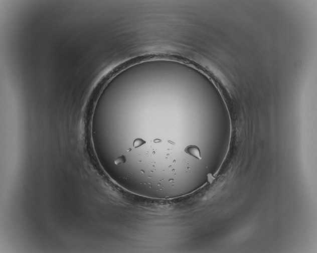 X0000113090975200909041146