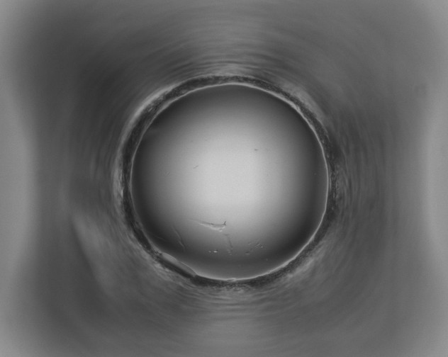 X0000113090979200909041145