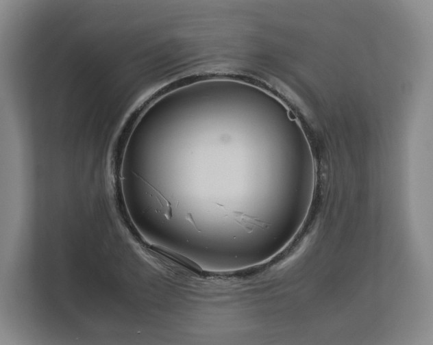 X0000113090981200909041145