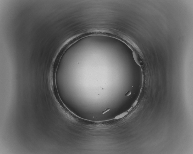 X0000113090984200909041145