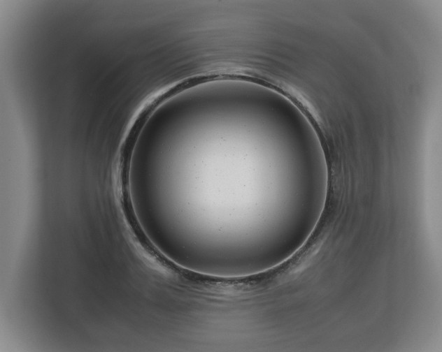 X0000113090987200909041145