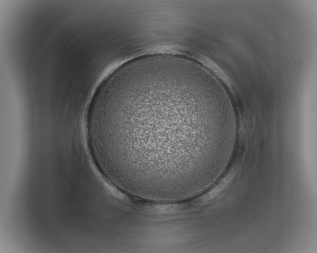 X0000113090989200909041145