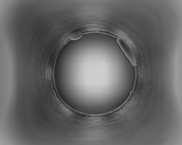 X0000113090993200909041145