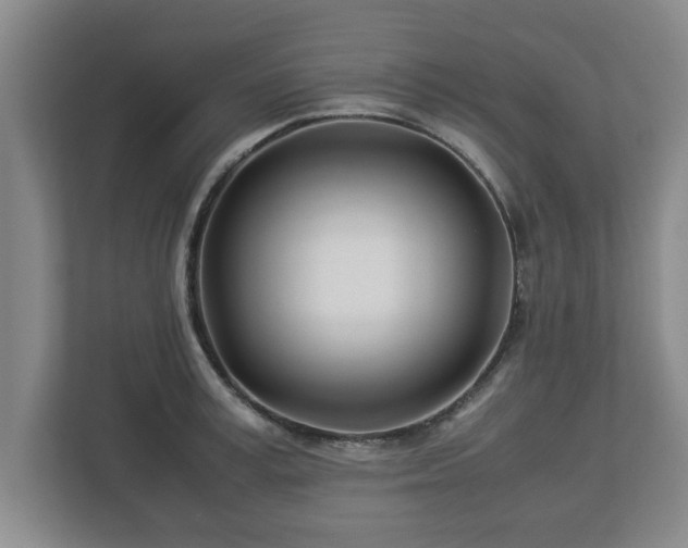 X0000113090995200909041145