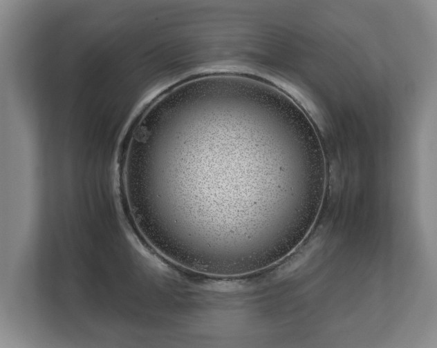 X0000113090998200909041145