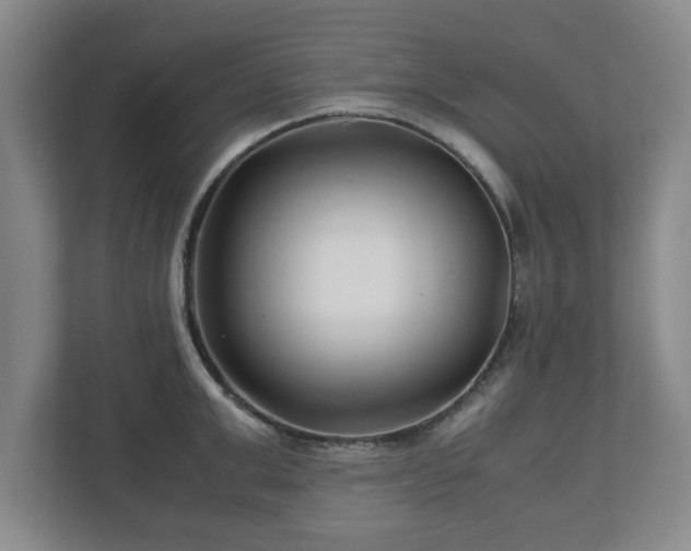 X0000113090999200909041145
