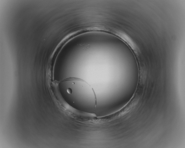X0000113091000200909041145