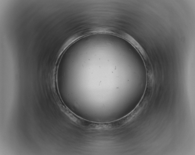X0000113091002200909041145