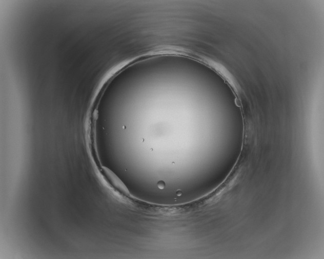 X0000113091003200909041145