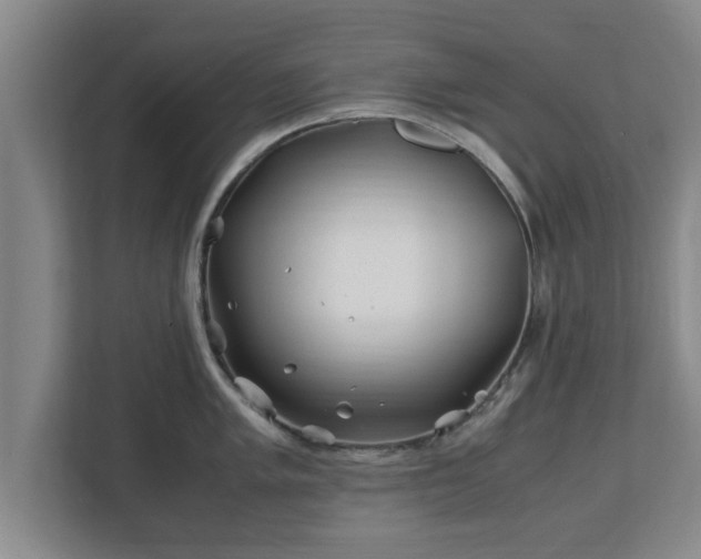 X0000113091005200909041145