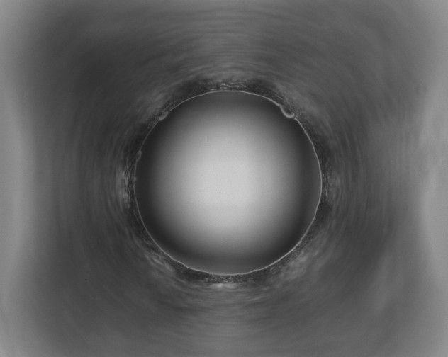 X0000113091010200909041144