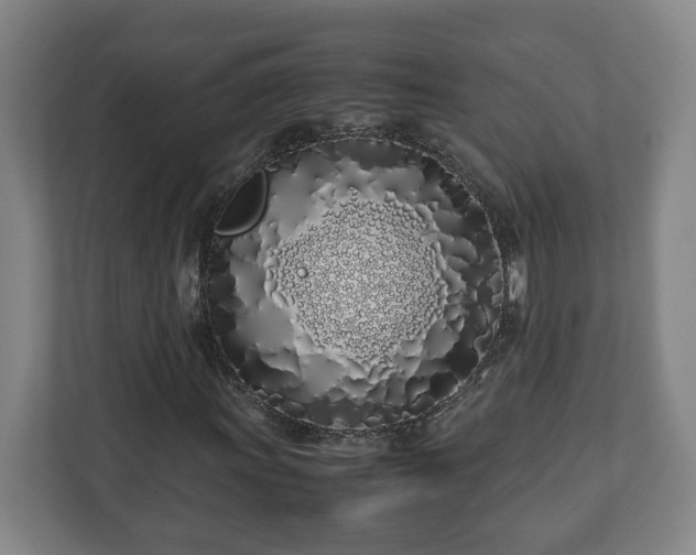 X0000113091011200909041144