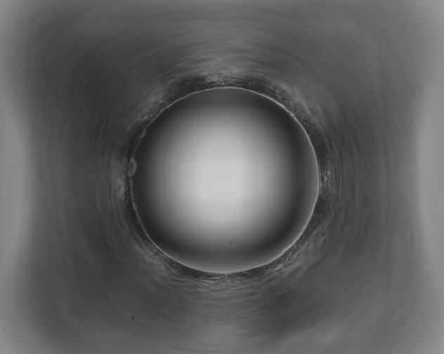 X0000113091012200909041145
