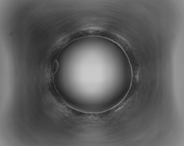 X0000113091014200909041145