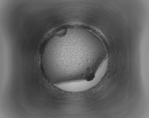 X0000113091016200909041145