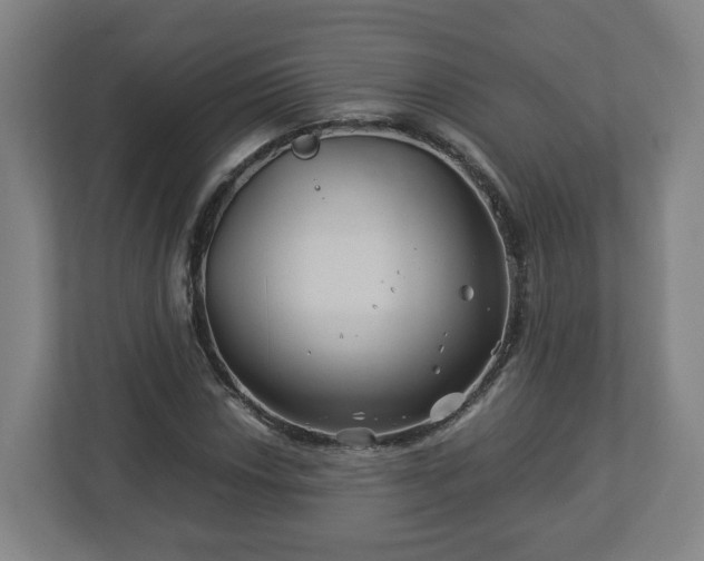 X0000113091018200909041145
