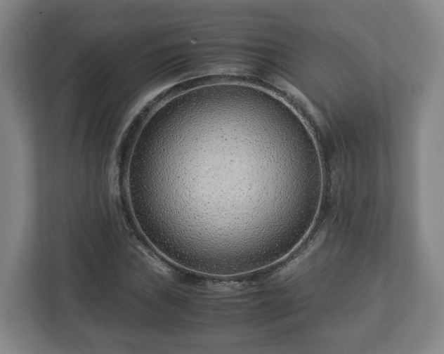 X0000113091019200909041145