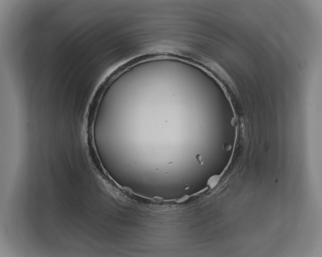 X0000113091020200909041145
