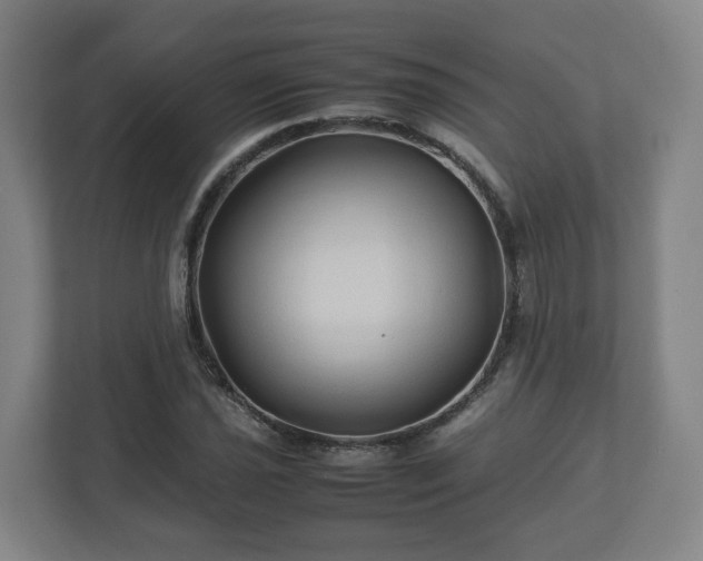 X0000113091021200909041145