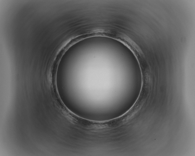 X0000113091023200909041145