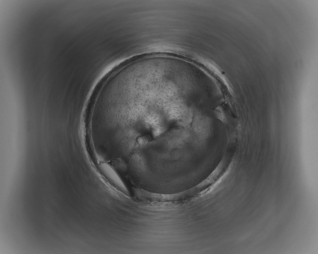 X0000113091024200909041145