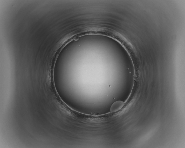 X0000113091025200909041145