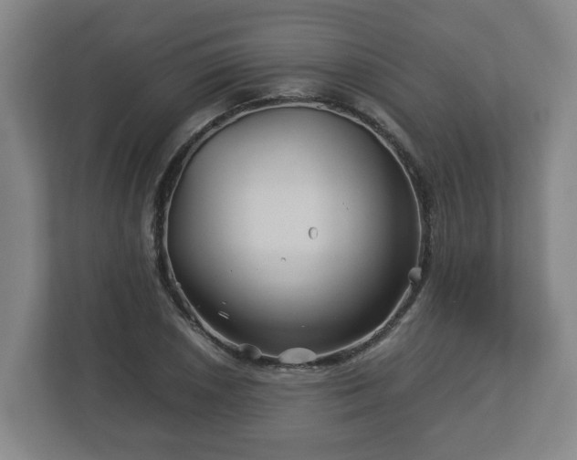 X0000113091026200909041145