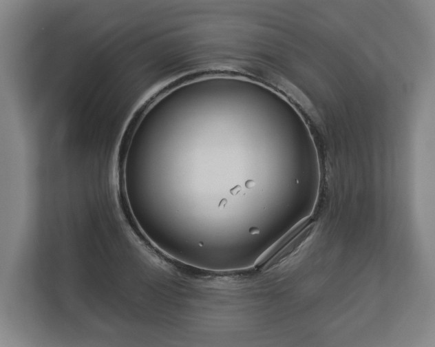 X0000113091028200909041145