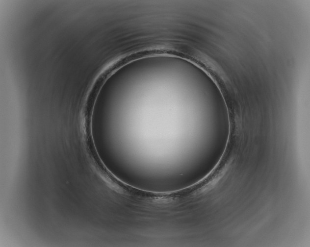 X0000113091029200909041145
