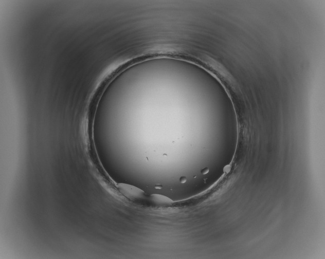 X0000113091030200909041145