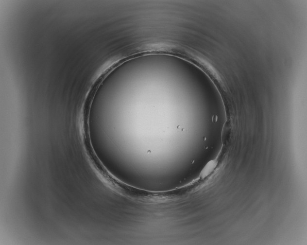 X0000113091034200909041145