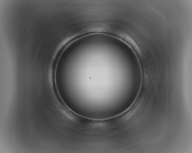 X0000113091035200909041145