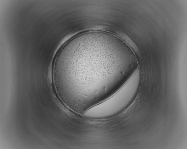 X0000113091036200909041145
