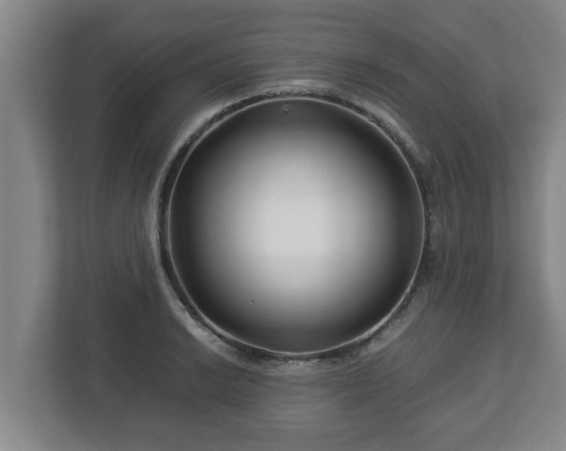 X0000113091038200909041145