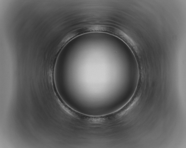 X0000113091041200909041145