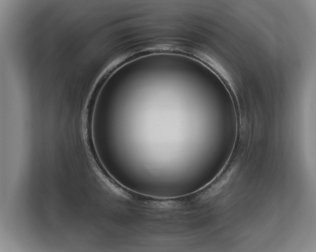 X0000113091045200909041145