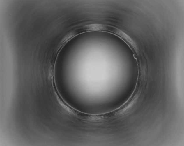 X0000113091049200909041145