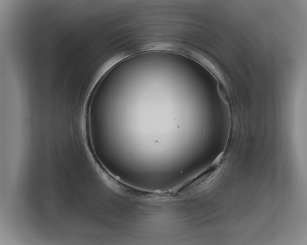 X0000113091050200909041145