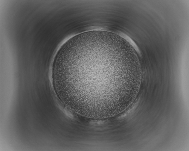 X0000113091051200909041145